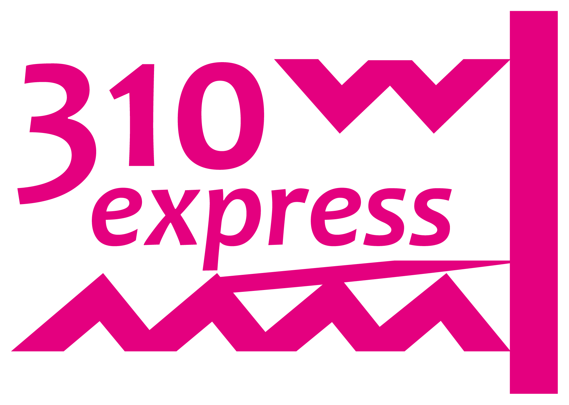 310exLOGO_PINK-02